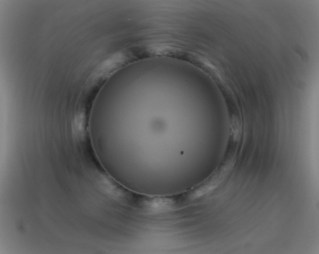 X0000114700670200910211253