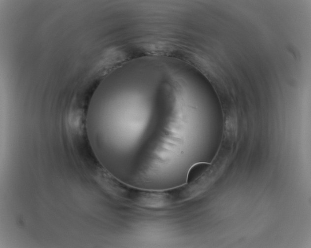 X0000114700671200910211253