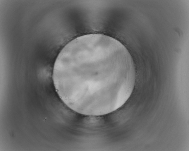 X0000114700672200910211253