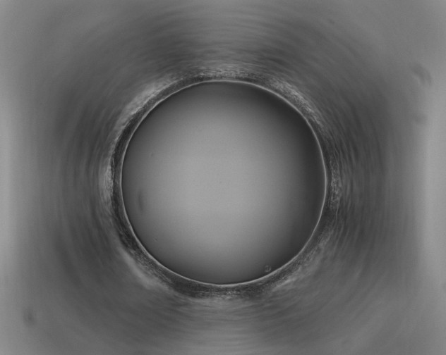 X0000114700674200910211252