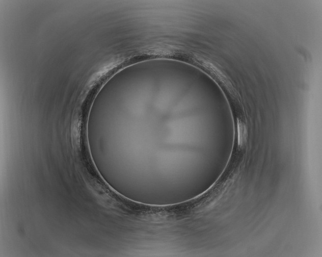 X0000114700675200910211252