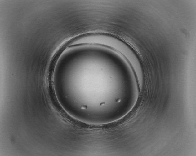 X0000114700676200910211252