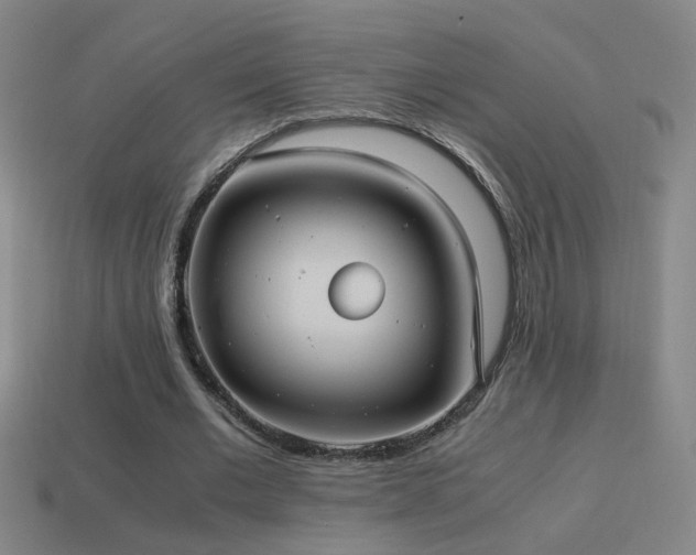 X0000114700677200910211252