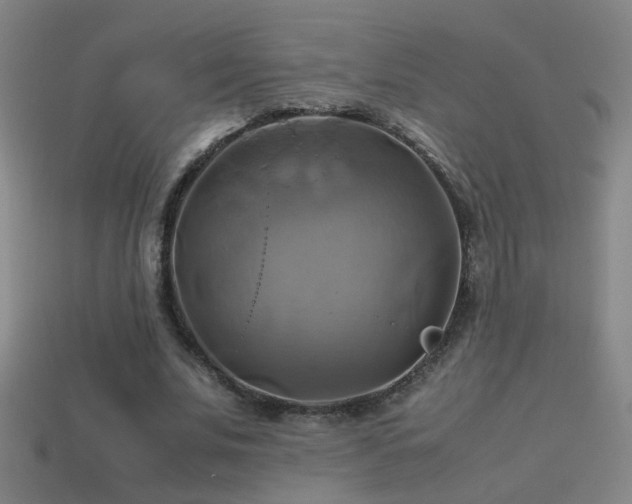 X0000114700679200910211252