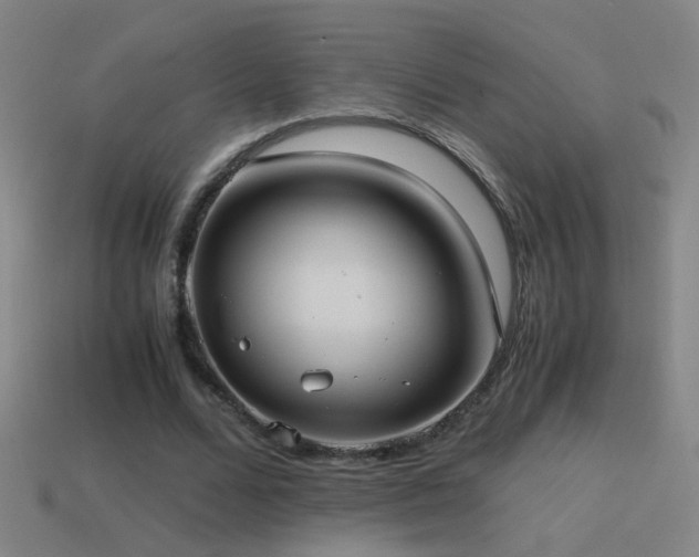 X0000114700680200910211252