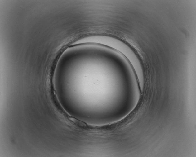 X0000114700681200910211252