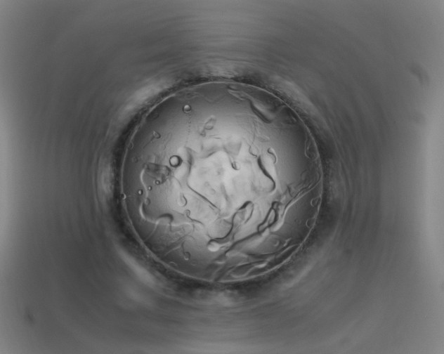 X0000114700683200910211252