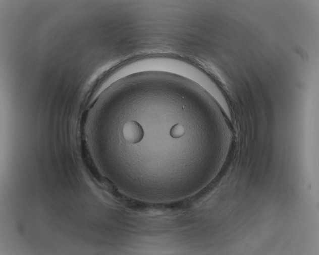 X0000114700684200910211252