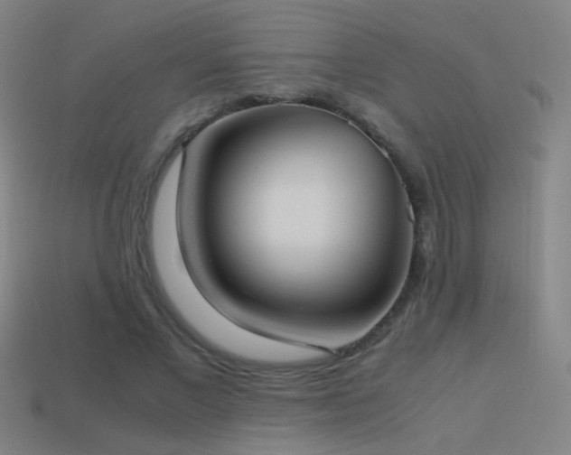 X0000114700685200910211252