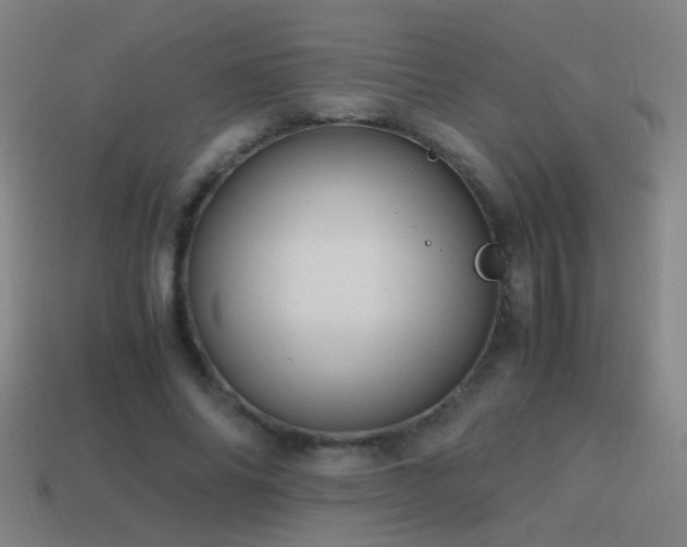 X0000114700686200910211252