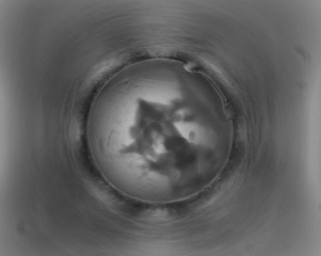 X0000114700687200910211252