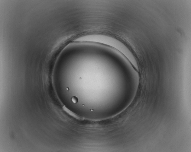 X0000114700688200910211252