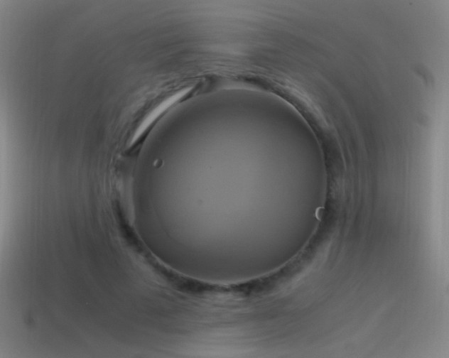 X0000114700689200910211252