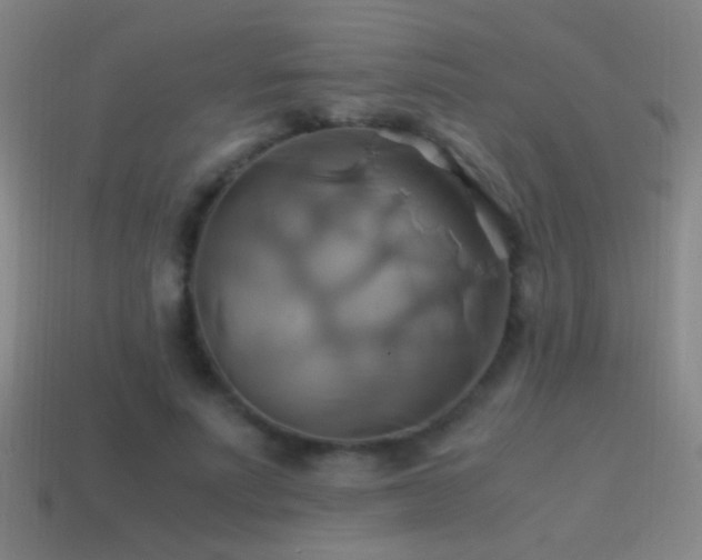 X0000114700691200910211252