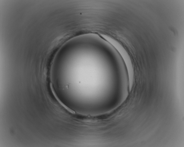 X0000114700693200910211252