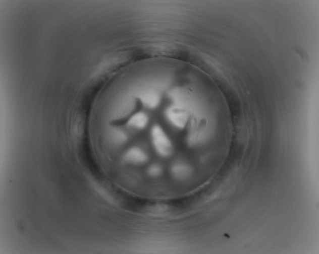 X0000114700695200910211252