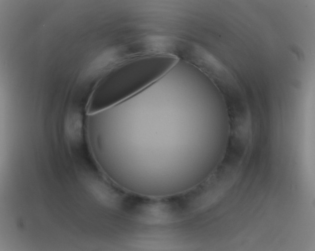 X0000114700696200910211252