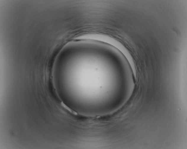 X0000114700697200910211252