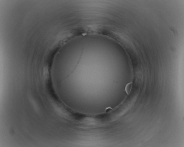 X0000114700699200910211252