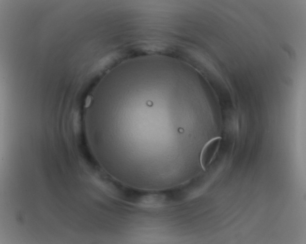 X0000114700700200910211252