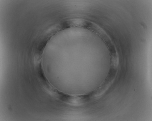 X0000114700701200910211252