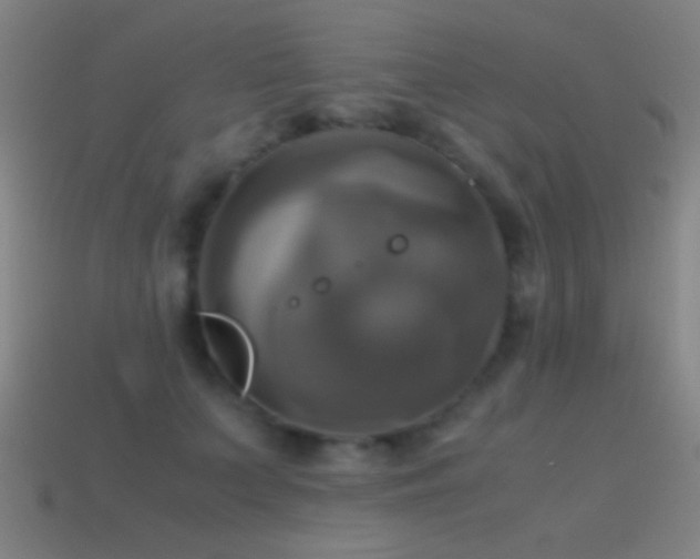 X0000114700703200910211252