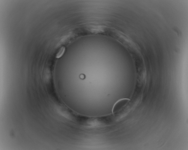 X0000114700704200910211252