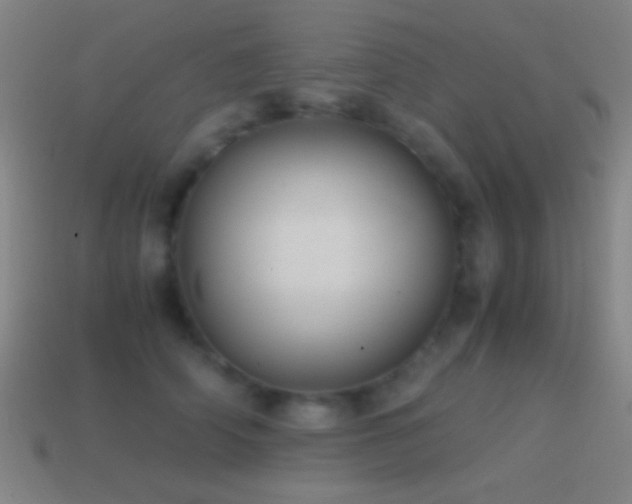 X0000114700706200910211252