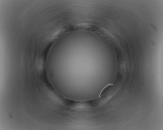 X0000114700708200910211252