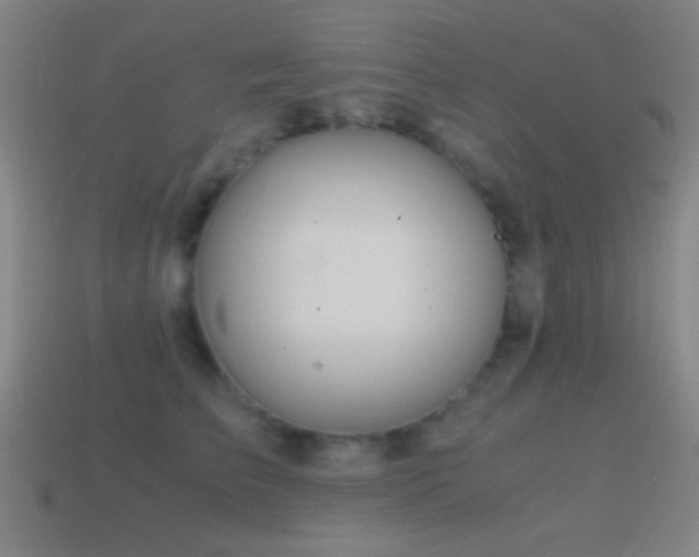 X0000114700709200910211252