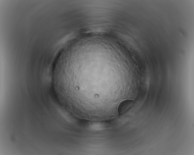 X0000114700710200910211252