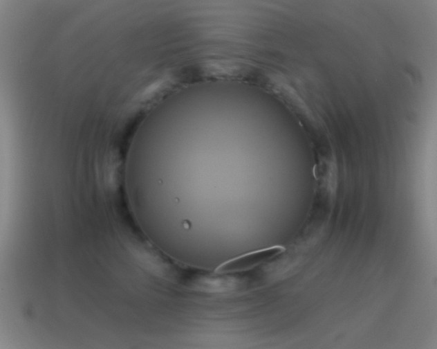 X0000114700712200910211252