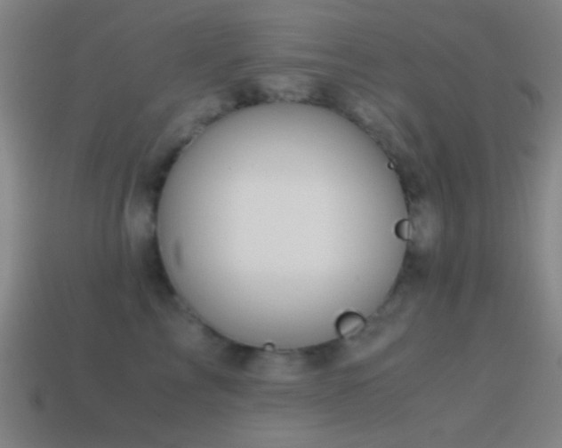 X0000114700713200910211252