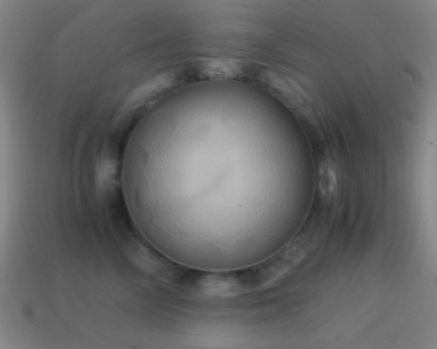 X0000114700714200910211252