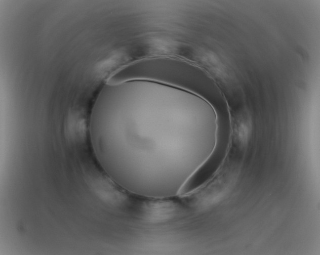 X0000114700716200910211252