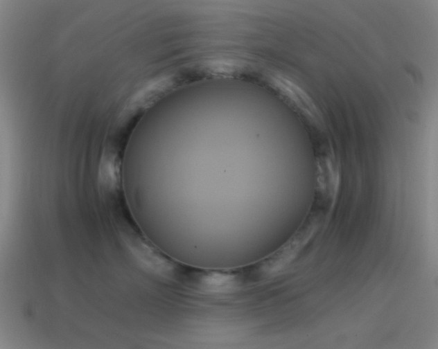 X0000114700718200910211252