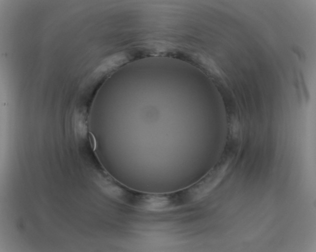 X0000114700719200910211252