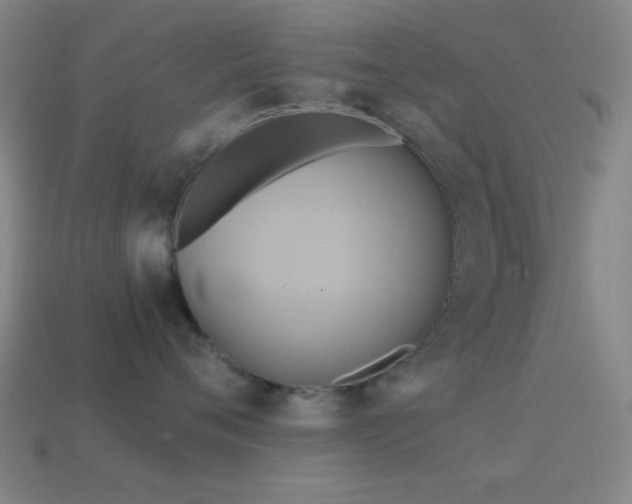 X0000114700720200910211252