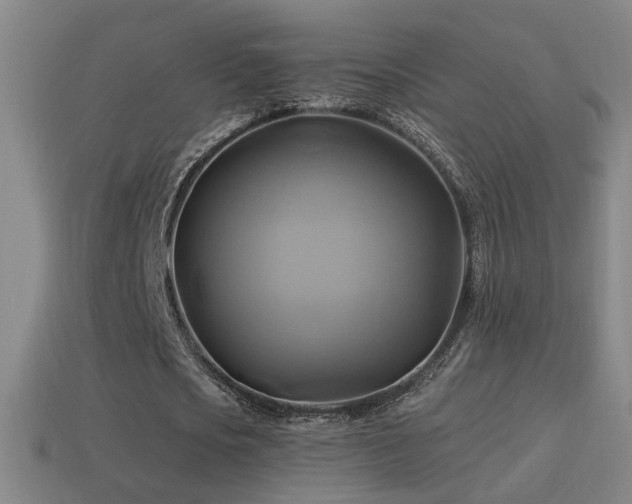 X0000114700721200910211251