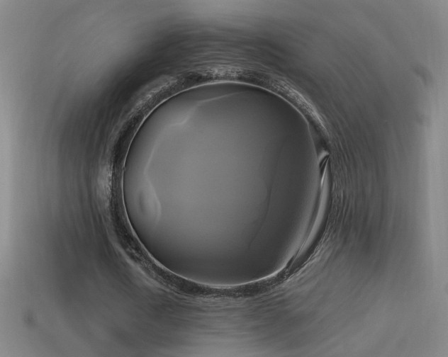 X0000114700722200910211251