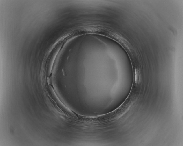 X0000114700723200910211251