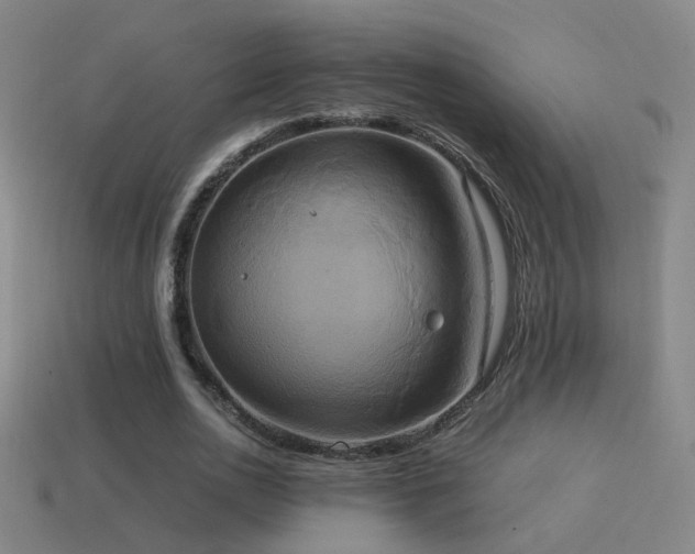 X0000114700726200910211251