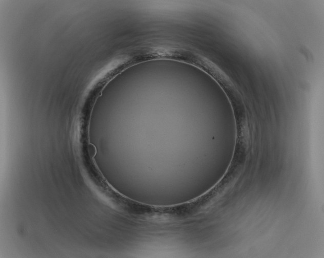 X0000114700730200910211251