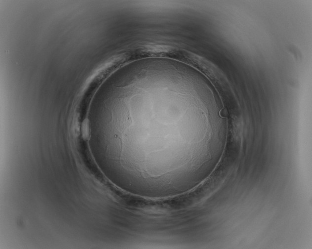 X0000114700731200910211251