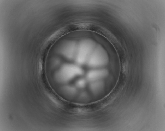 X0000114700733200910211251