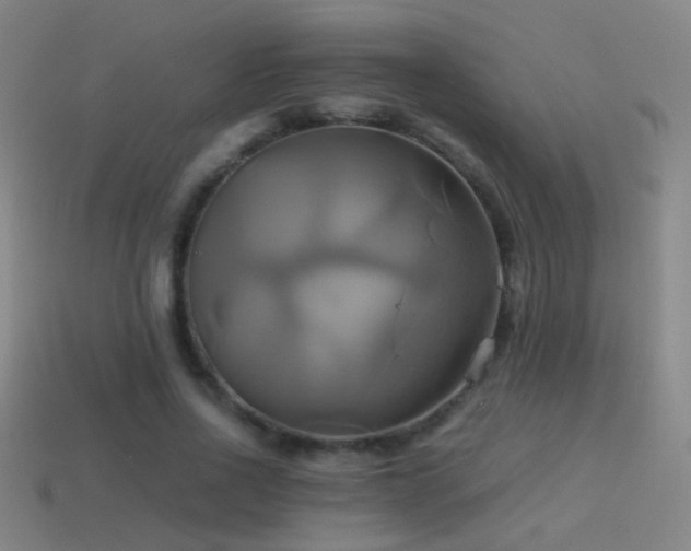 X0000114700734200910211251