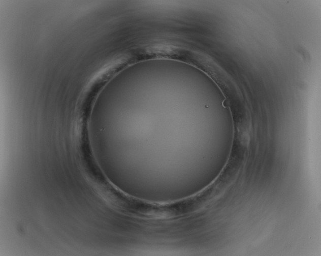 X0000114700735200910211251