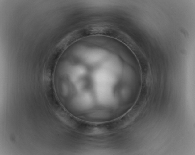 X0000114700737200910211251