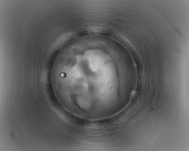 X0000114700738200910211251