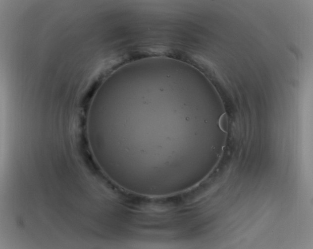 X0000114700739200910211251